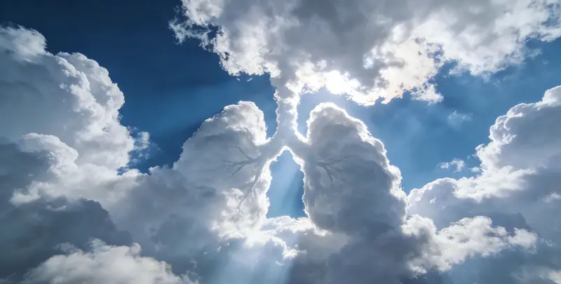 攀枝花肺癌12基因ctDNA突变检测(血液）图片1